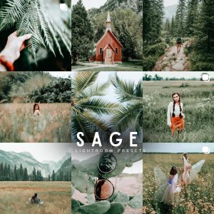 Sage Lightroom Presets (Mobile and Desktop)