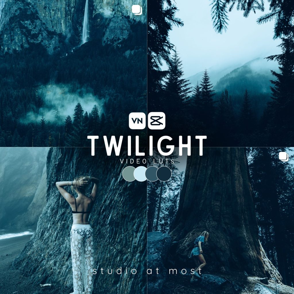 Twilight Video Luts