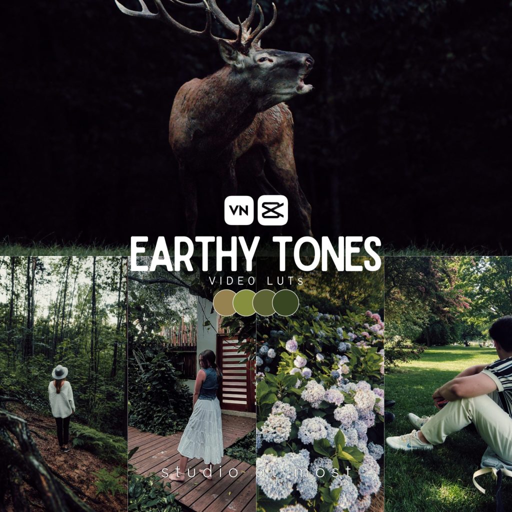 Earthy Tones Video Luts