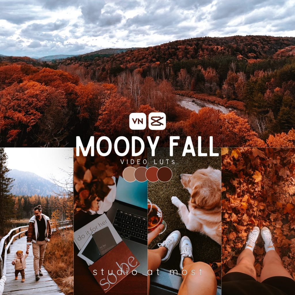 Moody Fall Video Luts