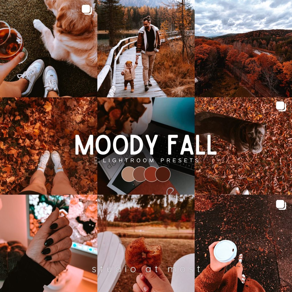 Moody Fall Lightroom Presets