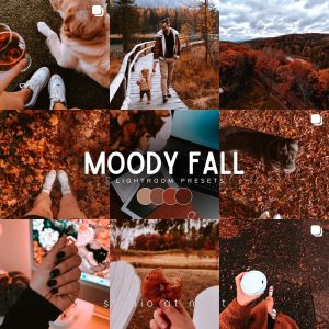 Moody Fall Lightroom Presets
